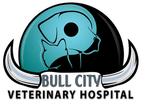 Bull City Veterinary Hospital